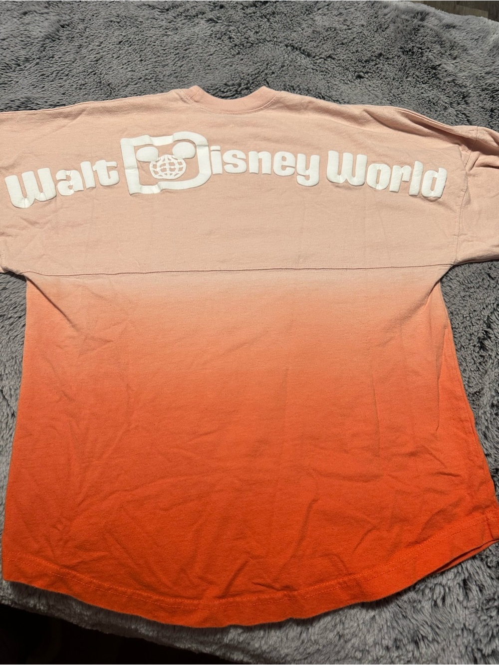 Disney Parks Ombré Spirit Jersey